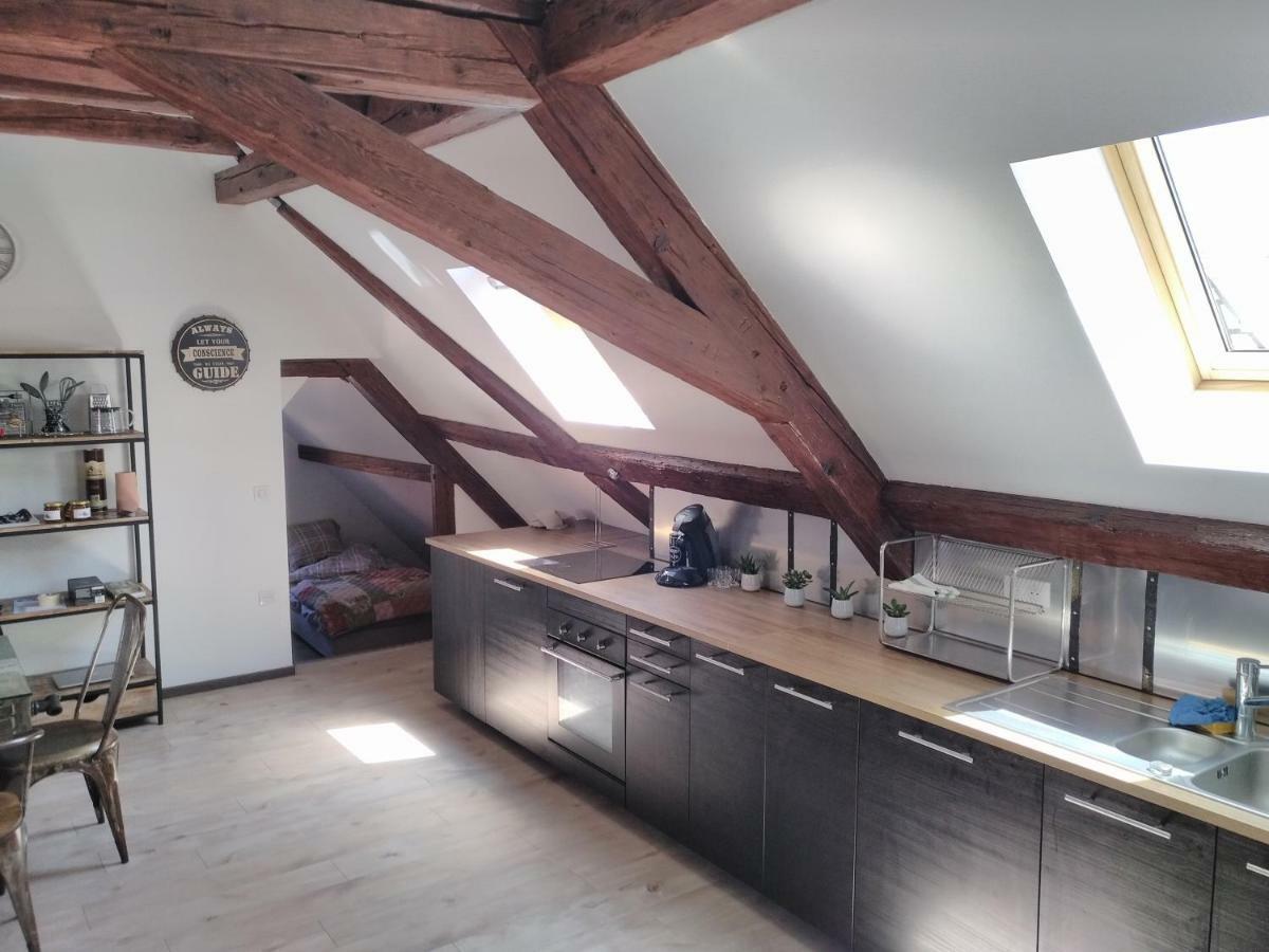 La Grande Terrine - Gîtes Les Potiers Kaysersberg-Vignoble Extérieur photo