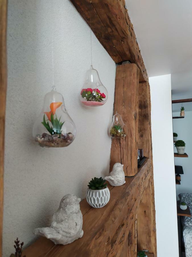 La Grande Terrine - Gîtes Les Potiers Kaysersberg-Vignoble Extérieur photo