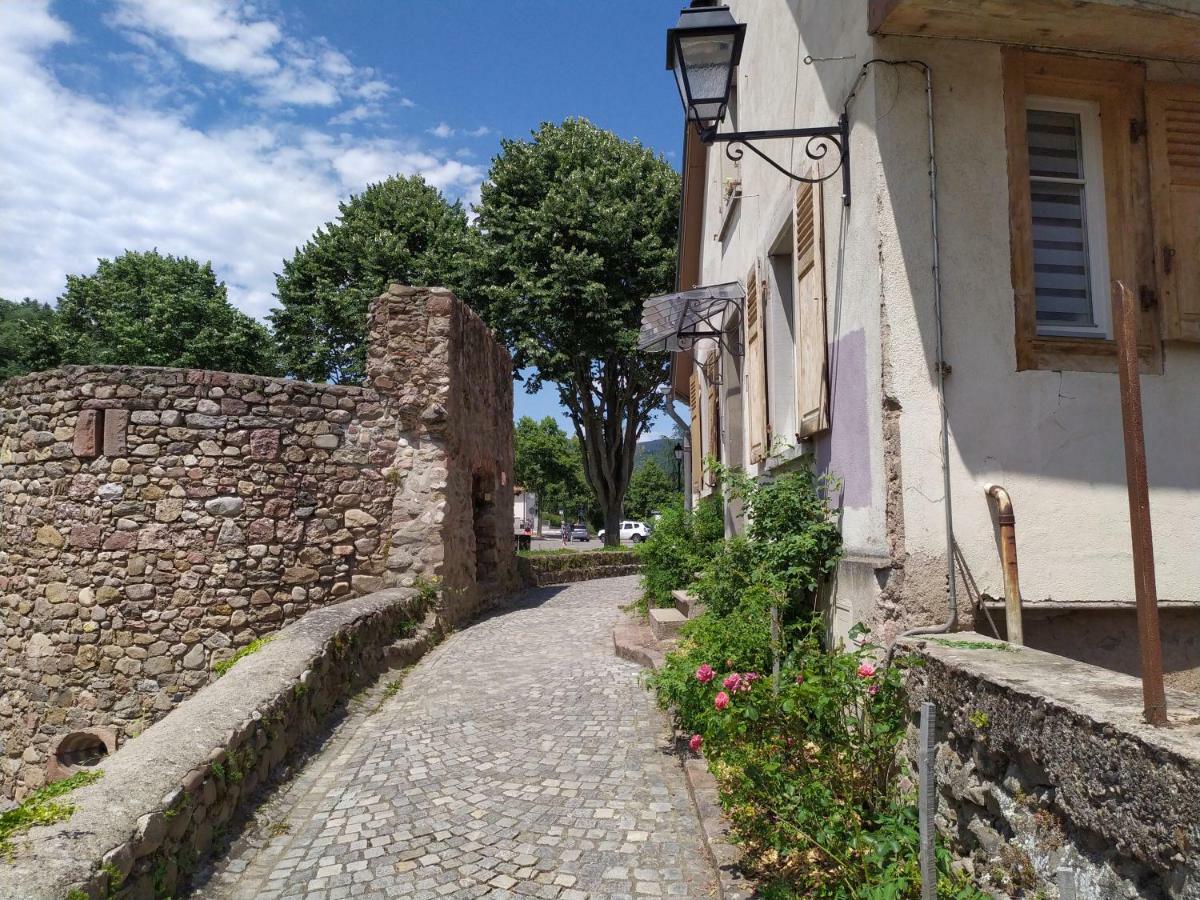 La Grande Terrine - Gîtes Les Potiers Kaysersberg-Vignoble Extérieur photo