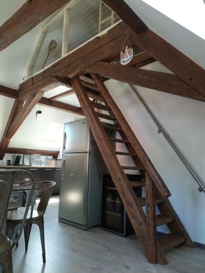 La Grande Terrine - Gîtes Les Potiers Kaysersberg-Vignoble Extérieur photo