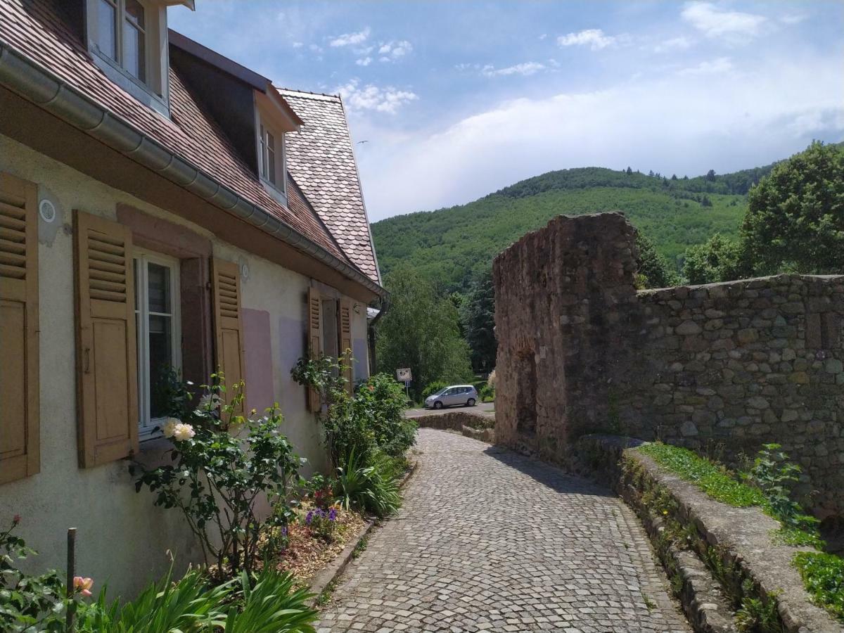 La Grande Terrine - Gîtes Les Potiers Kaysersberg-Vignoble Extérieur photo