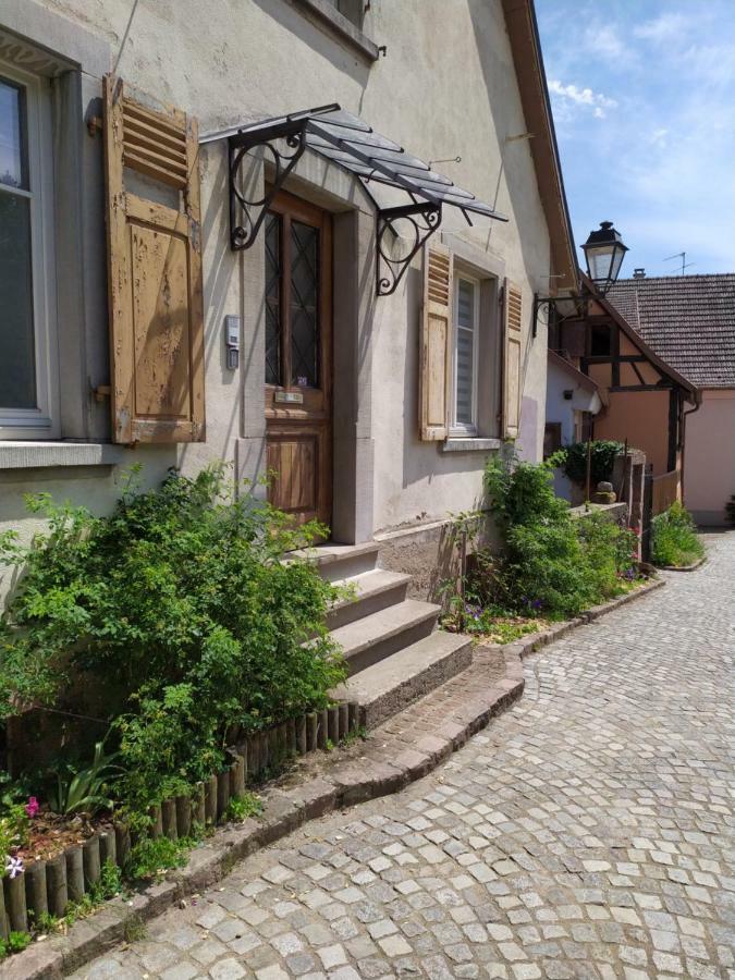 La Grande Terrine - Gîtes Les Potiers Kaysersberg-Vignoble Extérieur photo